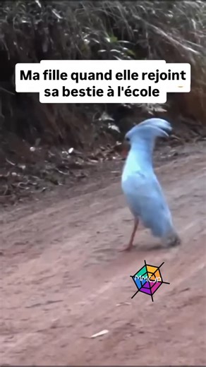 Maman comme je peux on Instagram: "Elles me font trop rigoler 😂😂 #humour #amitie #fille #foliecommune #ecole"