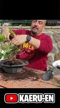 From garden bed to colander