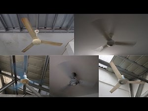 Ceiling Fans in My House