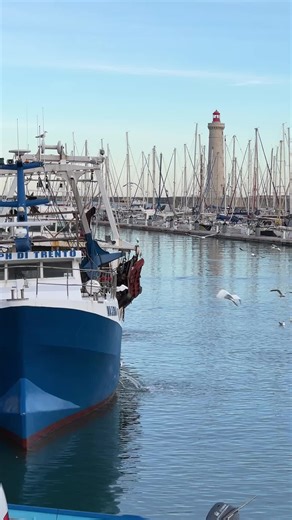 🤩☀️🤍 #sete #pêche #port