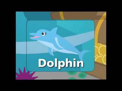 Baby Noah Dolphin