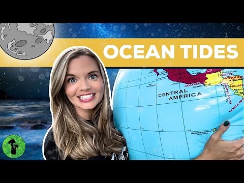 Ocean Tides | Spring & Neap Tides