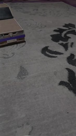 Discover the Renault Electronic Project