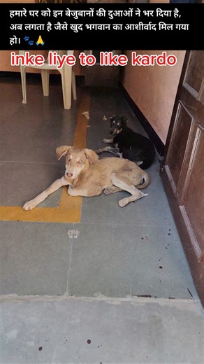 bejuban ki duaa #view #viral#ytshorts #love