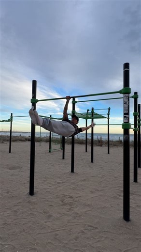Dani Amor⚡️ ダニエル on Instagram: "One arm front lever power 🔥 #streetworkout #calistenia #frontlever #calisthenics #doit"