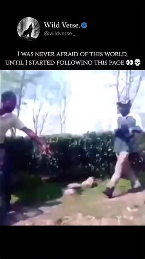 Wild Verse on Instagram: "The King Cobra found on the island of Sumatra belongs to a distinct species lineage that was recently recognized by scientists. Here are the key details about the King Cobra in Sumatra: 🔬 Scientific Classification (The Sumatra Lineage) Original Name: For nearly two centuries, all King Cobras were classified as a single species, Ophiophagus hannah. Current Classification: Recent genetic and morphological studies have led to the King Cobra complex being reclassified into