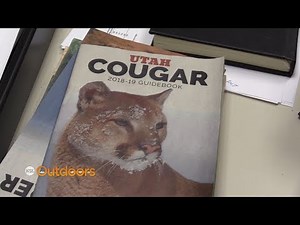 Utah Field Guide: What to do After You Harvest a Cougar