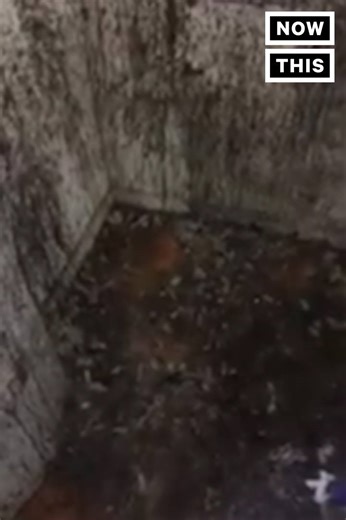 This might be the strangest thing Azealia Banks has ever done | NowThis Entertainment