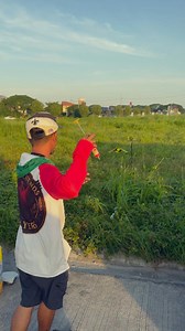 Freefly Training Of Amazons #parrot #parrotlife #parrotvideo #parrotlover #freefly #pet | Gabriel Wang