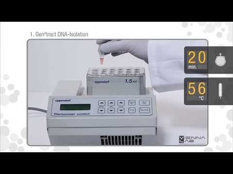 ViennaLab StripAssay™ Procedure