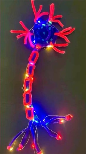 Neuron Model Using Pipe Cleaners & Beads | school project #neuronmodel #shorts