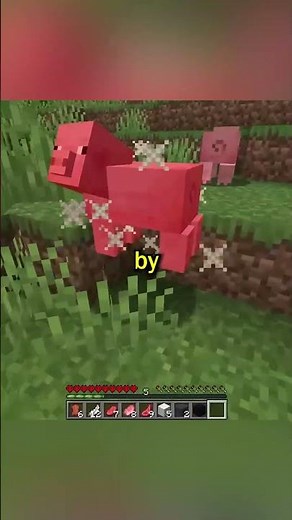 Minecraft's Hardest Gamemode is INSANE...