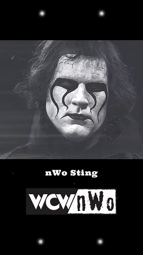 4.9K views · 135 reactions | nWo 4 Life! In its original incarnation. 11 members missing... can you name them all?! — #NWO #NewWorldOrder #WCW #toosweet #NWO4LIFE #attitudeera | EWrestlingNews | Facebook