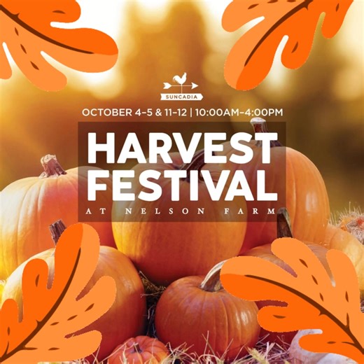 Join us for the 19th Annual Suncadia Harvest Festival: two weekends of festive fall magic at Historic Nelson Farm! From pumpkin patches and wagon rides to live music, dancing, and delicious seasonal treats, this is autumn in the Cascades at its best. 🍂 | Suncadia Resort