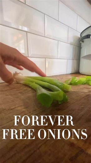 3.9K views · 25 reactions | FREE FOOD! How to grow spring onions...
