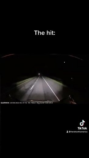 A deer hit and the damage caused on a HERD Grille Guard