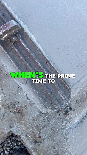 Mastering Bull Floating: Timing is Everything