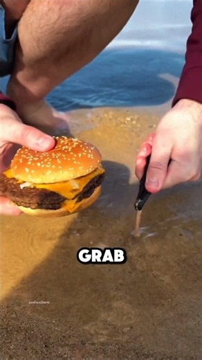 Sea Worms 😱