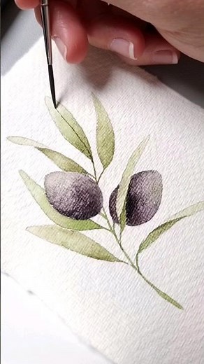 Olivenzweig in Aquarell ganz einfach malen