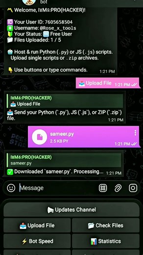 how to host telegram bot free