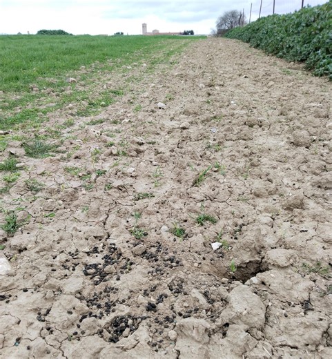 Los 3 primeros pasos para salir al retracto de fincas rústicas - Agronews