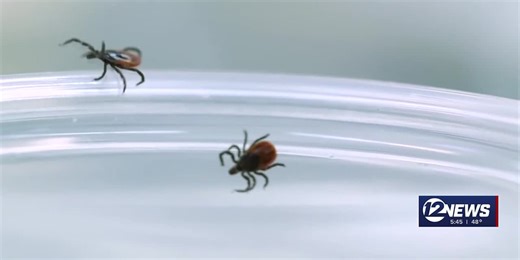 Tick season underway: Here’s what you need to know