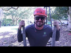 Tree Prop Installation