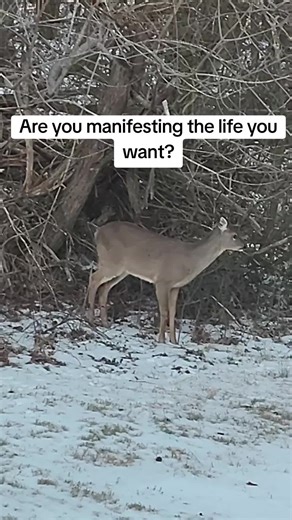 This is your sign to keep going #skit #PurposeDriven #algorithm