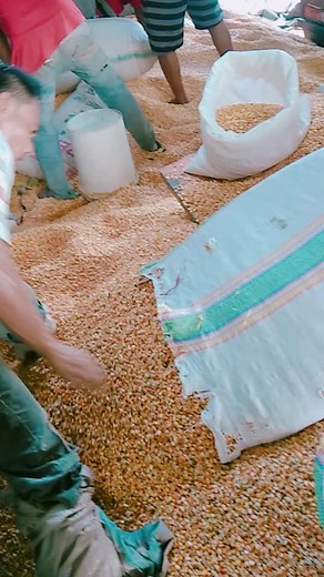 Understanding Grain Processing Techniques in Storage Facilities