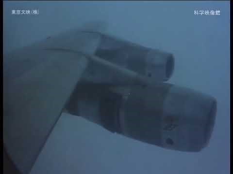 The World of Vibration