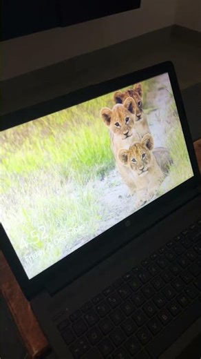 My laptop fast bootup speed