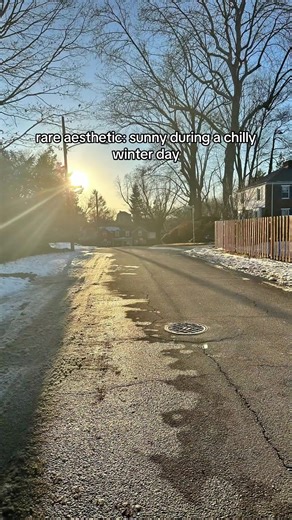 Exploring Rare Aesthetic Winter Moments