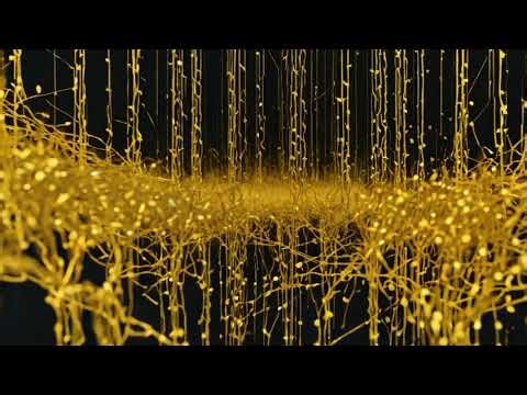 How Bot Farms Exploit YouTube's Algorithm (47 Identical Videos)