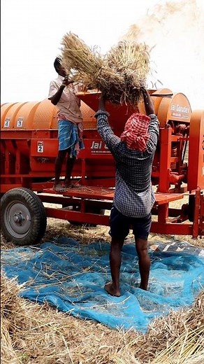 Wheat Threshing by Multi Crop Thresher (MCT) #shorts