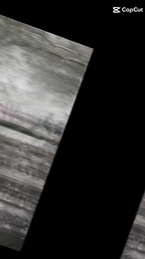 Tragic Death of Chris Lasalle in NCIS: New Orleans