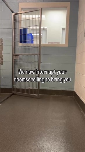 143K views · 3.3K reactions | 10 week old Posie is a female border...