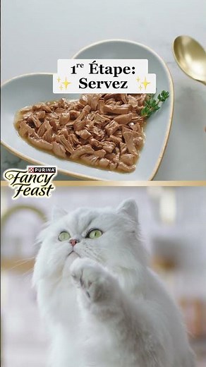 Nourriture humide pour chats Fancy FeastMD. Inspiré des chefs. Adoré des chats