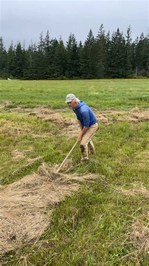Global hay suppliers on Instagram: "Jim and his homemade hay bailer! #fyp #foryoupage #grassfedveggies #grow #grassfed #hay #haybales #maine #greendreamstv"