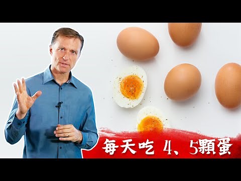 一天吃4顆蛋,蛋和膽固醇的關係,柏格醫生 Dr Berg