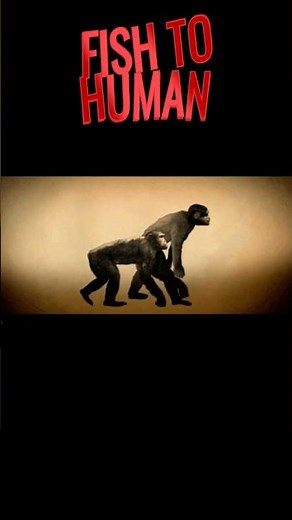 Fish to Human Evolution #biology #ncert #evolution #fish #class12