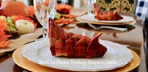 DIY Turkey Napkin Fold Video - Liz Bushong