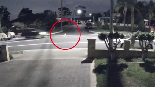 CCTV captures moment dog is run over in Chester Hill