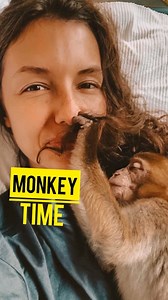 It's amazing how animals🐾 can teach us humans👣 the most basic things in life.🤎 • None of us becomes evil, it is the influence of the environment and the personal choice to follow this path.👹 But this world can only be saved by what animals show us every day,👀 and for example even Tosya,🐵 a little rescued monkey who inspired thousands of people with love❤️ and respect.🛡 • And this is not only about the relationship between people and animals, but also between relationships between people.�