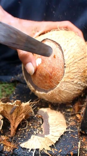 Removing the red coconut meat