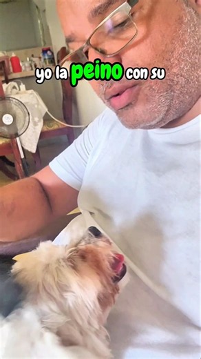 Increíble cambio... Cloy la perrita luce un pelaje blanco, suave y brillante 🤍🐶