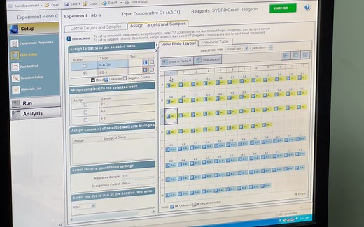 荧光定量丨PCR丨7500 software的使用步骤
