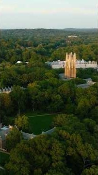 The Wellesley Promise