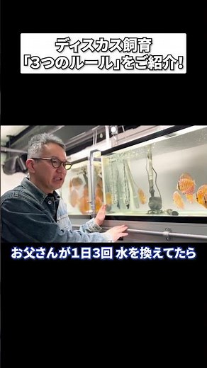 【熱帯魚の王様】ディスカス飼育の基本３大ルールとは？