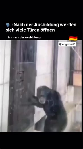 Follow For More. #germanlanguage #deutschland #deutschlernen #easygerman #germanmeme #germanmemes #de #deutschland🇩🇪 | Easygerman01