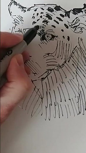 Jaguar drawing with sharpie part 4